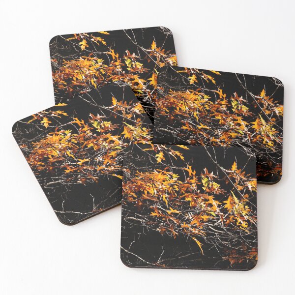 Item preview, Maple (Acer ), colorful autumn leaves on a tree, Germany designed and sold by Torsten  Krüger.