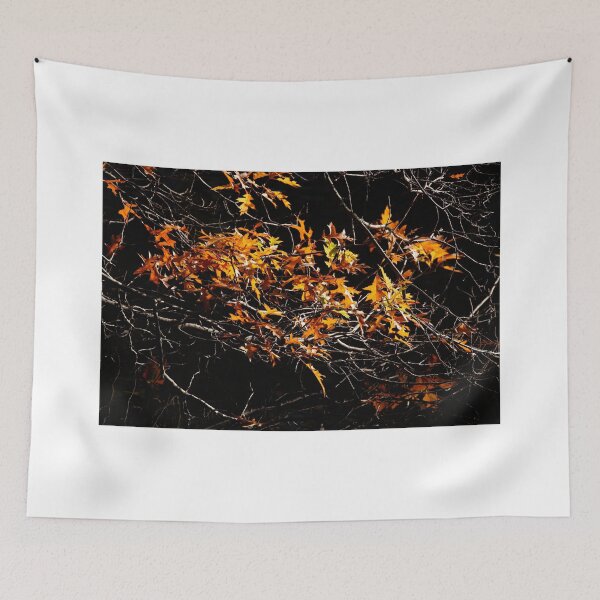Item preview, Maple (Acer ), colorful autumn leaves on a tree, Germany designed and sold by Torsten  Krüger.