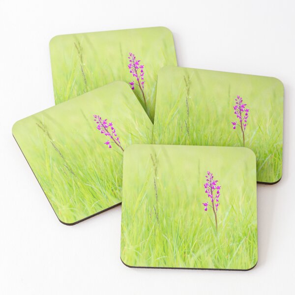 Item preview, Wild orchid in meadow designed and sold by sgrphotography.