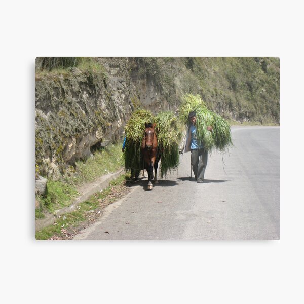 Hauling Grass Metal Print