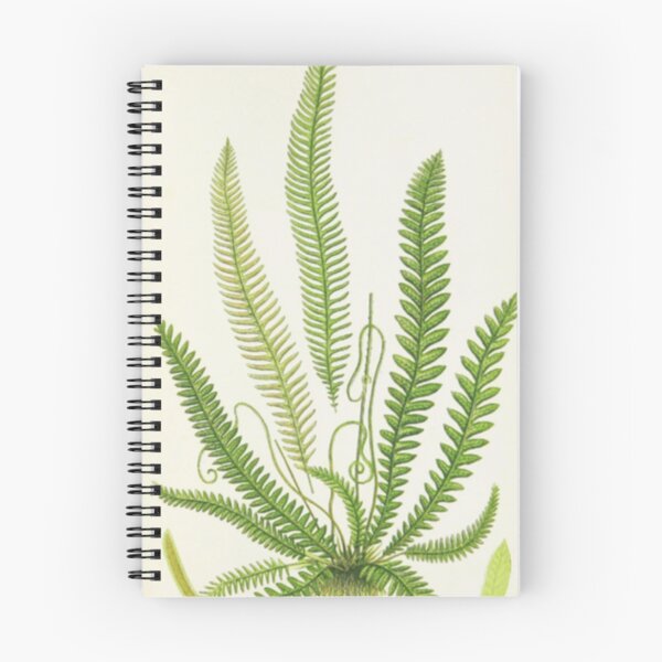 Item preview, Wild Ferns designed and sold by BlueSpecsStudio.