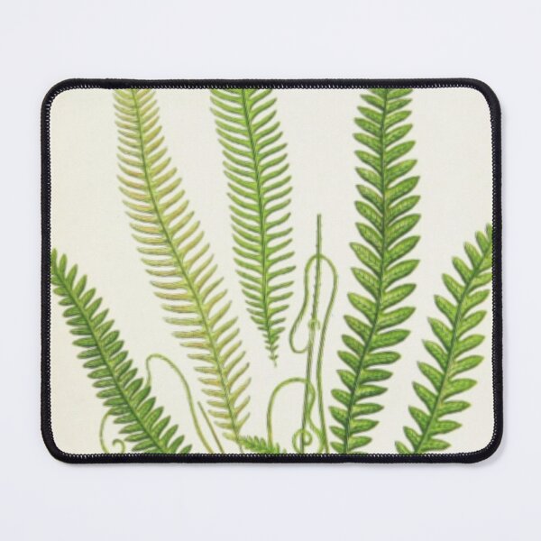 Item preview, Wild Ferns designed and sold by BlueSpecsStudio.
