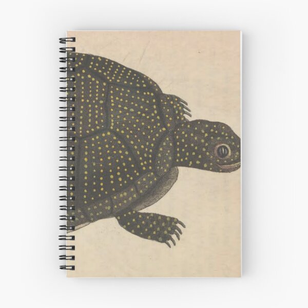 Item preview, Naturalist Turtle designed and sold by BlueSpecsStudio.