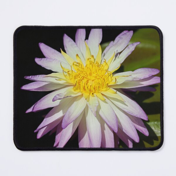 Item preview, Reverent Revelation designed and sold by Michiale.