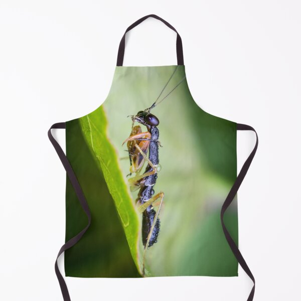 Item preview, A juvenile Asian ant mantis (Odontomantis planiceps) designed and sold by AvonPerception.