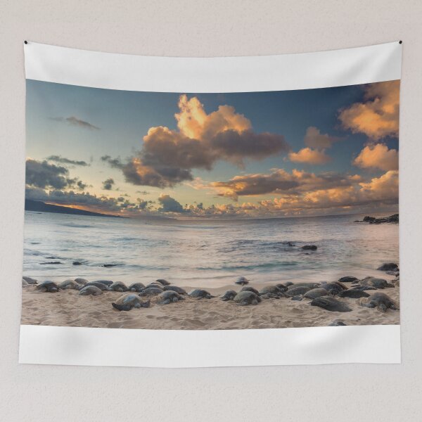 Item preview, Turtle Party at Hookipa designed and sold by Pierre Leclerc Photography.