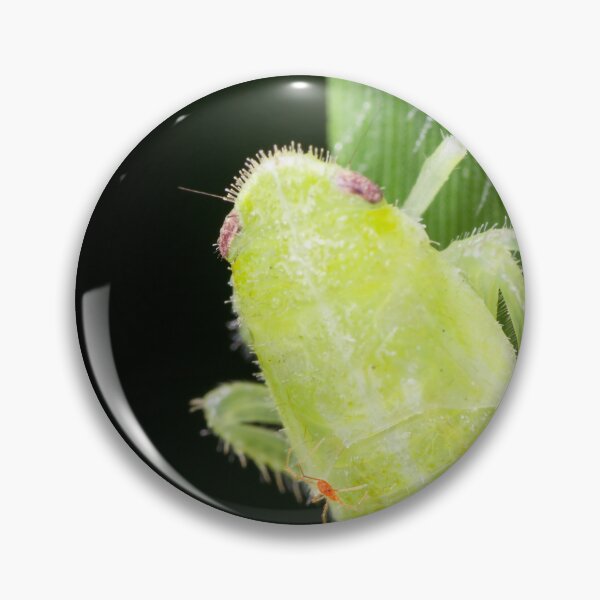 Item preview, A leafhopper nymph with a hitchhiker designed and sold by AvonPerception.