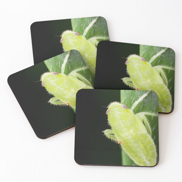 Item preview, A leafhopper nymph with a hitchhiker designed and sold by AvonPerception.