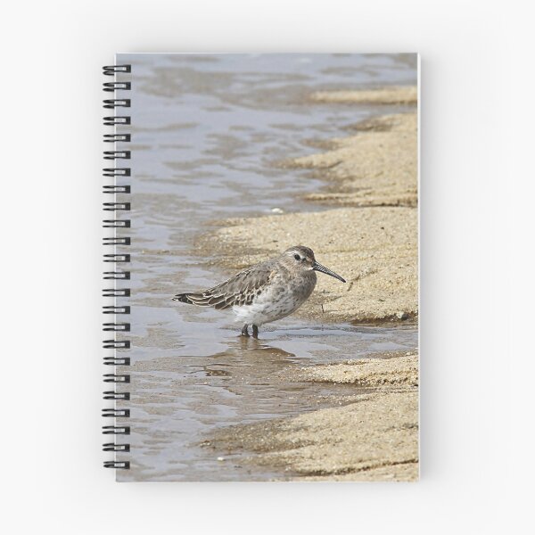 Item preview, Sandpiper at the shore designed and sold by Linda Crockett.