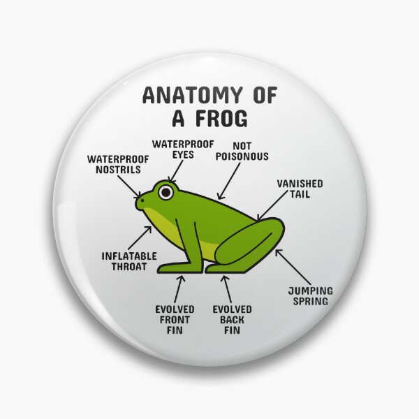 Item preview, Anatomy of a Frog designed and sold by blacklinesart.