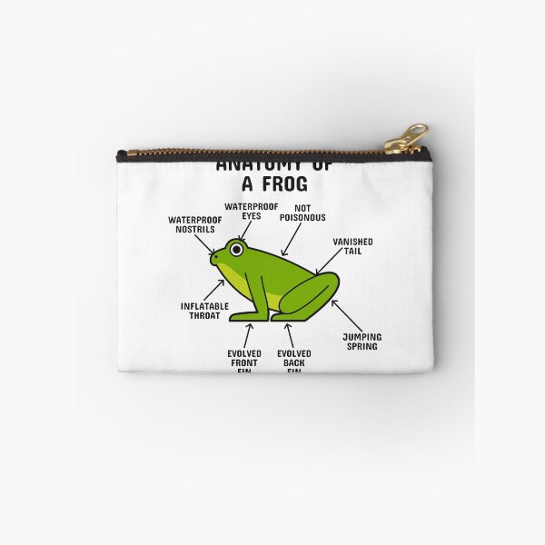 Item preview, Anatomy of a Frog designed and sold by blacklinesart.