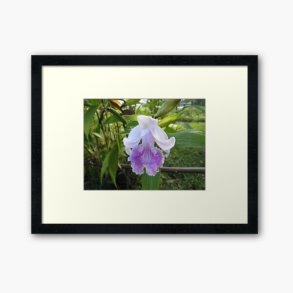 Jungle Orchid Framed Art Print