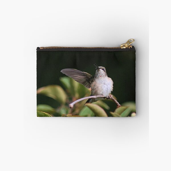 Item preview, Ruby-throated Hummingbird - juvenile designed and sold by Linda Crockett.