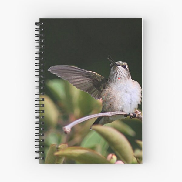 Item preview, Ruby-throated Hummingbird - juvenile designed and sold by Linda Crockett.