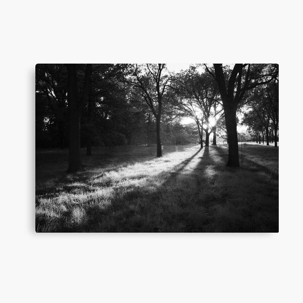 The Portal Canvas Print