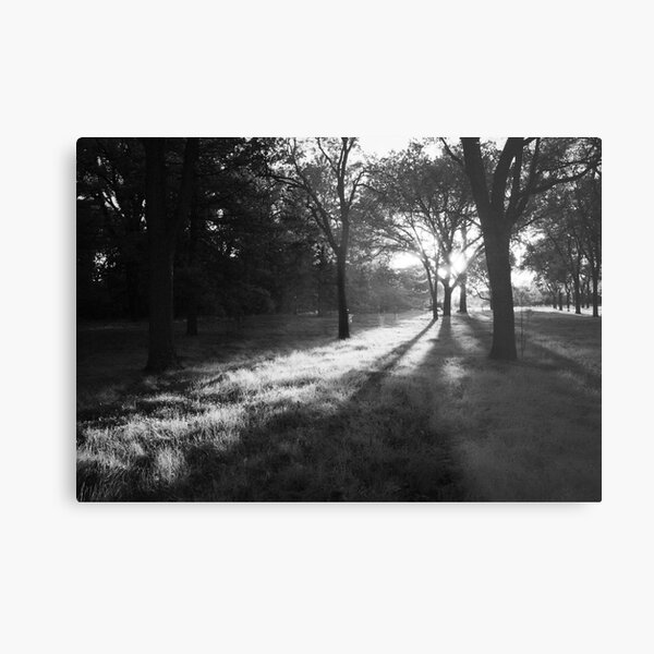 The Portal Metal Print