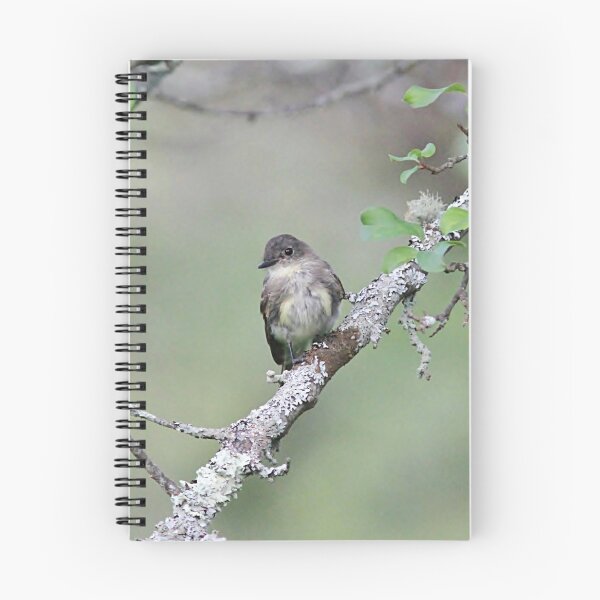 Item preview, Eastern Phoebe on a branch designed and sold by Linda Crockett.