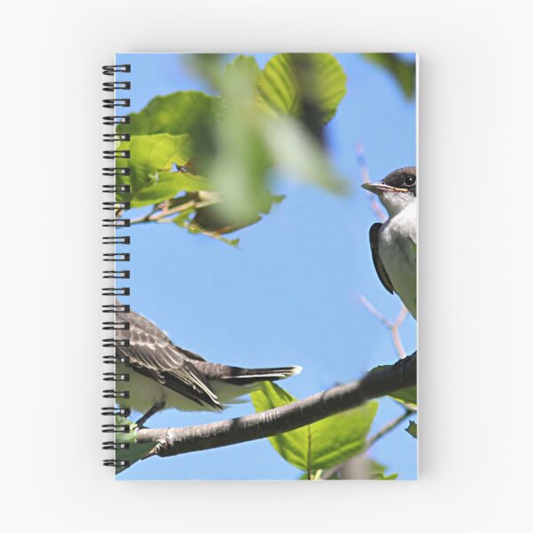 Item preview, Eastern Kingbird Fledglings designed and sold by Linda Crockett.