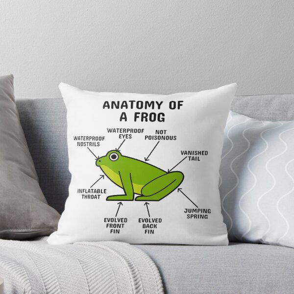 Item preview, Anatomy of a Frog designed and sold by blacklinesart.