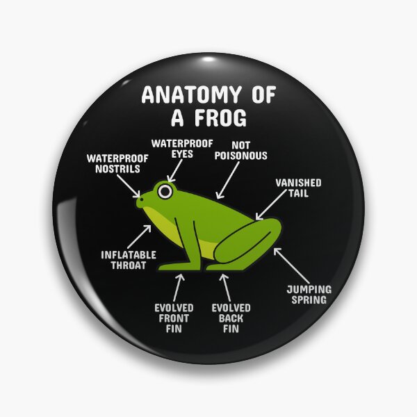 Item preview, Anatomy of a Frog White Text designed and sold by blacklinesart.