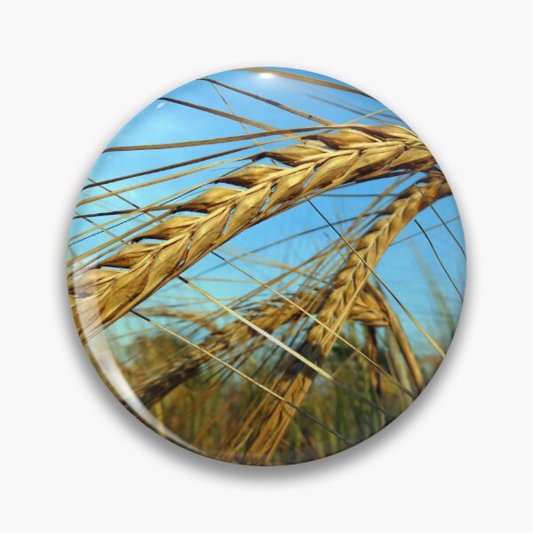 Item preview, Loubille. Bendy Corn in France designed and sold by JonDelorme.
