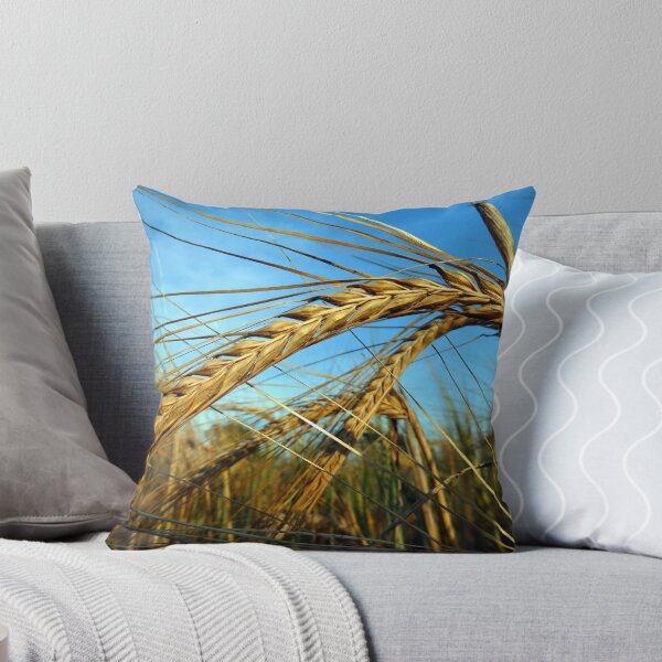 Item preview, Loubille. Bendy Corn in France designed and sold by JonDelorme.
