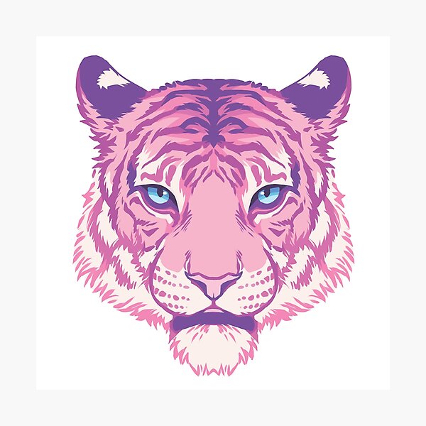 Pink Tiger Photographic Print