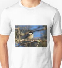 Winter Blues Unisex T-Shirt