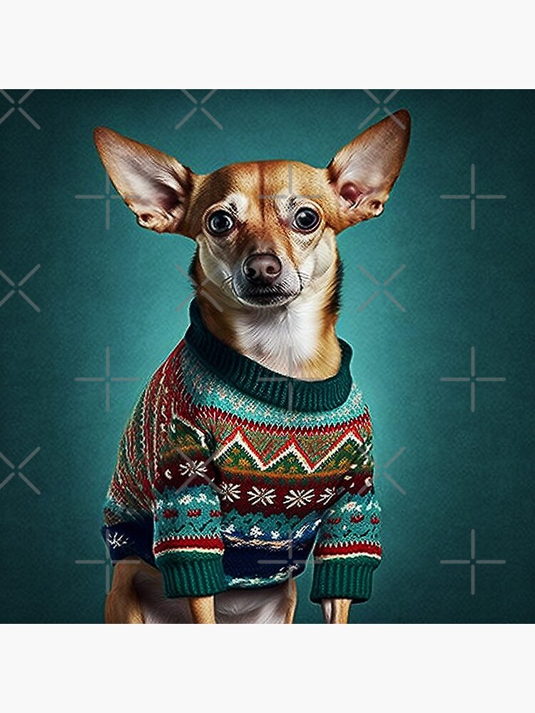 Chihuahua hotsell christmas jumper