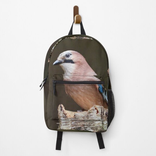 Item preview, Are the colors fine. Eurasian jay designed and sold by Jouko Lehto Photography.