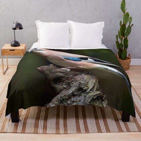 Item preview, Full  body profile. Eurasian jay designed and sold by Jouko Lehto Photography.