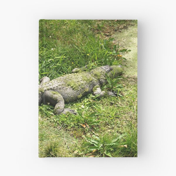 Item preview, North American Alligator......!!! designed and sold by Roy  Massicks.
