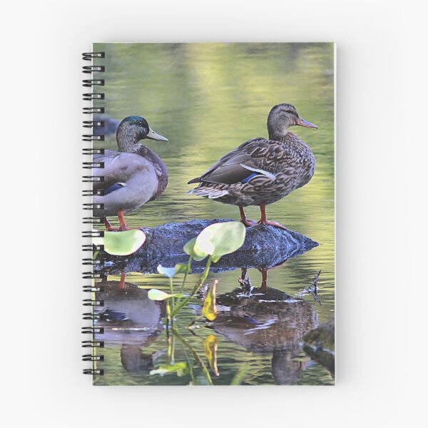 Item preview, Mallard duck pair designed and sold by Linda Crockett.