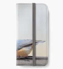 Nuthatch feeding iPhone Wallet/Case/Skin