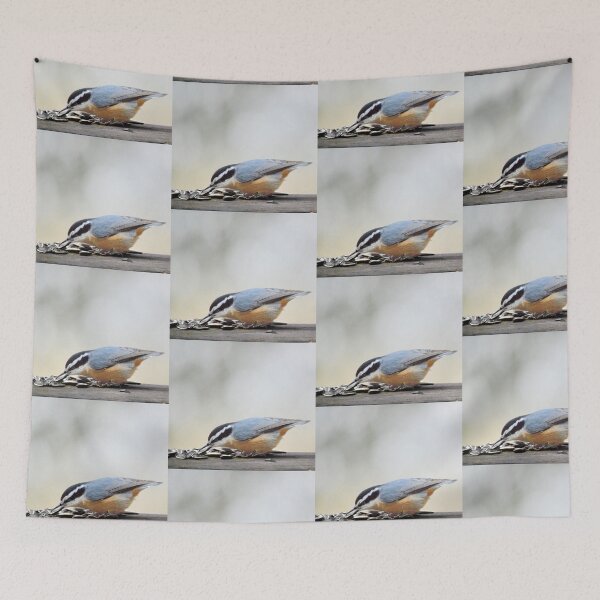 Item preview, Nuthatch feeding designed and sold by Laurie Minor.