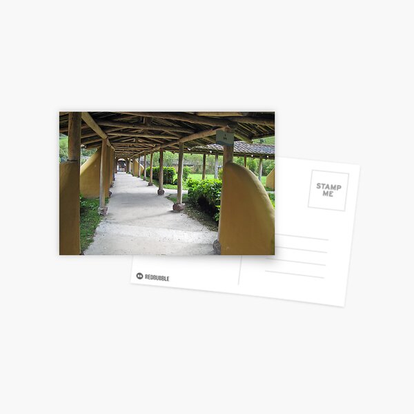 Timber Line Postcard