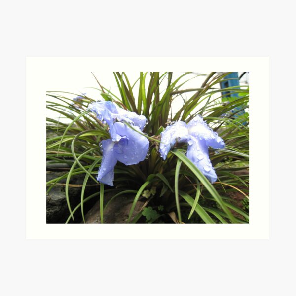 Wet Blue Art Print