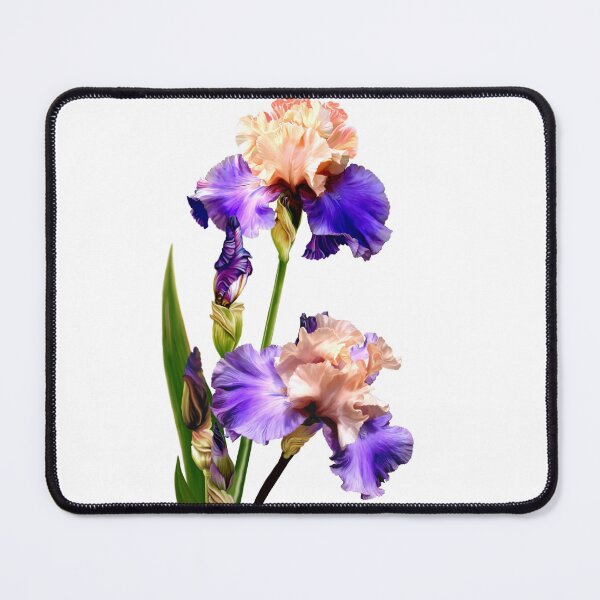 Item preview, Florentine Silk Iris on White Background designed and sold by Anthony Seeker.