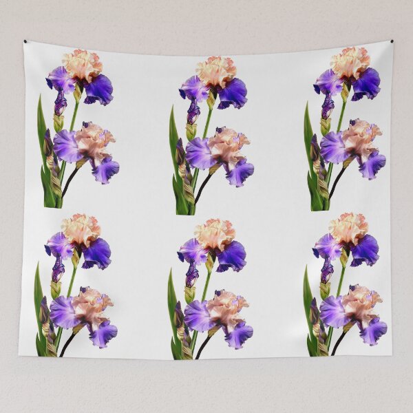 Item preview, Florentine Silk Iris on White Background designed and sold by Anthony Seeker.