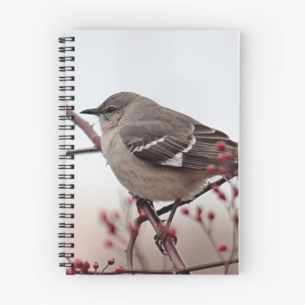 Item preview, Mockingbirds love berries designed and sold by Linda Crockett.