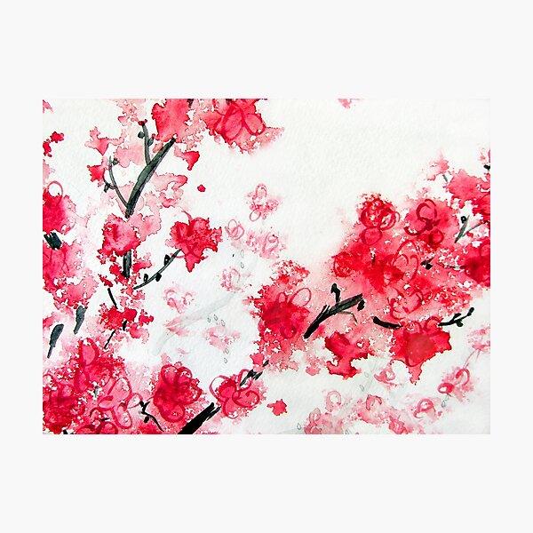 "Cherry Blossoms II" Photographic Print for Sale by KathieNichols ...