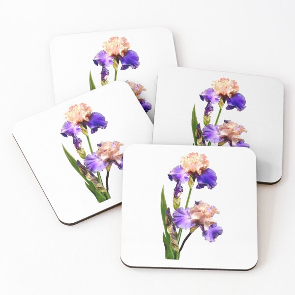 Item preview, Florentine Silk Iris on White Background designed and sold by Anthony Seeker.