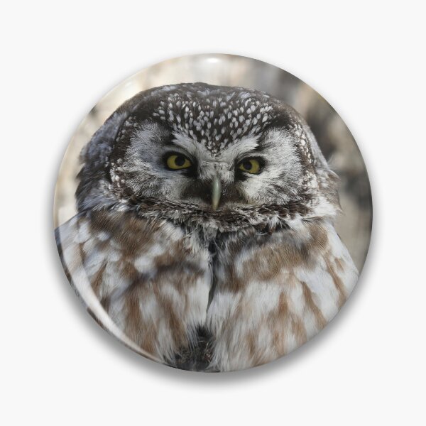 Item preview, Boreal owl sitting on prey designed and sold by locustgirl.