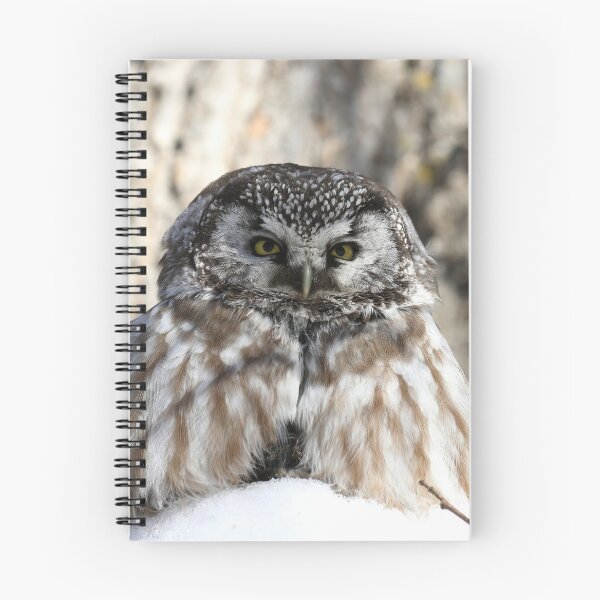 Item preview, Boreal owl sitting on prey designed and sold by locustgirl.