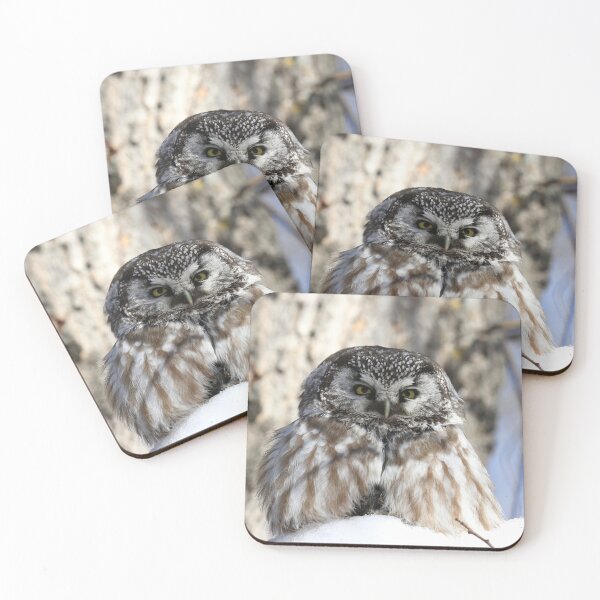 Item preview, Boreal owl sitting on prey designed and sold by locustgirl.