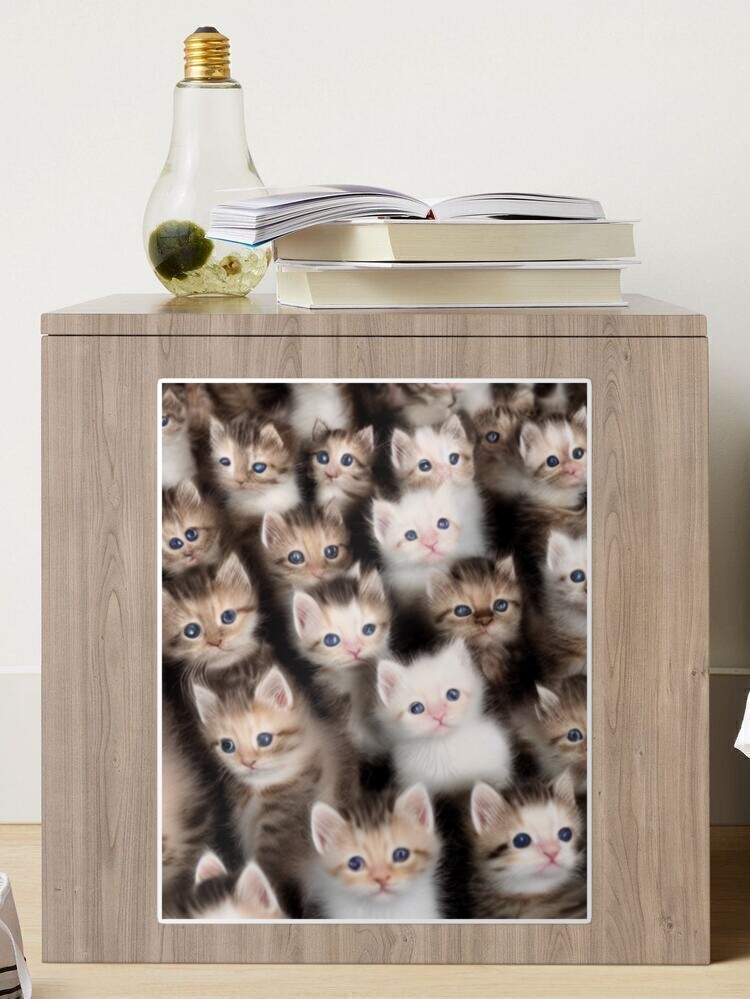 MKHERT Funny Cat Kitten Collection Set of Popular Breeds of Cats