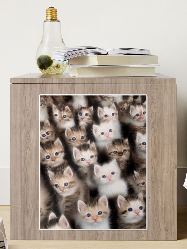 19,930 Litter Kittens Images, Stock Photos, 3D objects, & Vectors