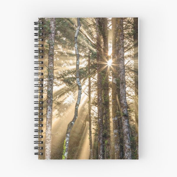 Item preview, Sunshine Forest designed and sold by Pierre Leclerc Photography.