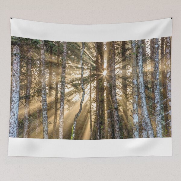 Item preview, Sunshine Forest designed and sold by Pierre Leclerc Photography.