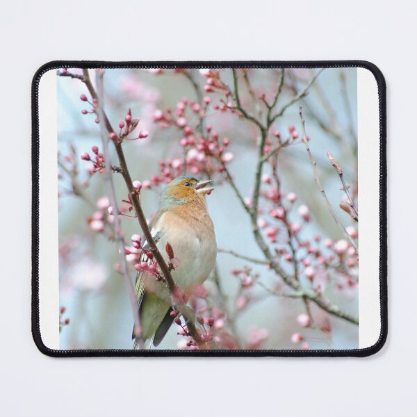 Item preview, Finch designed and sold by iago rodriguez dopico.
